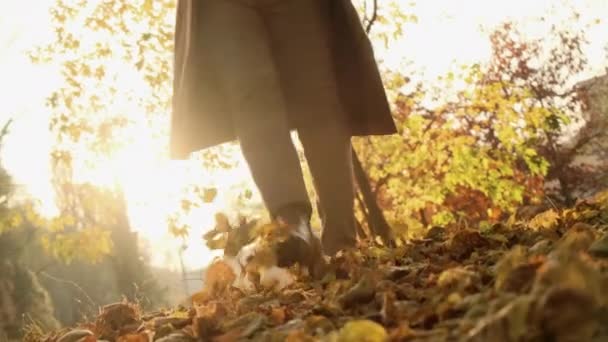 Senhora chutando folhas secas por pés passa tempo no parque de outono — Vídeo de Stock