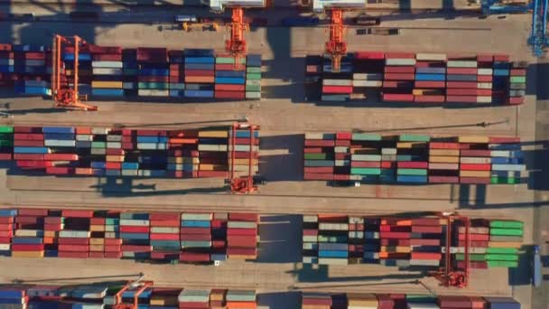 Terminal merci portuali con container predisposti per la spedizione — Video Stock