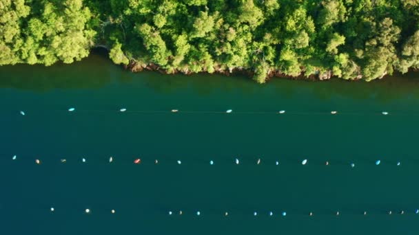 Ойстерські сітки на темній воді тягнуться вздовж берегової лінії острова — стокове відео