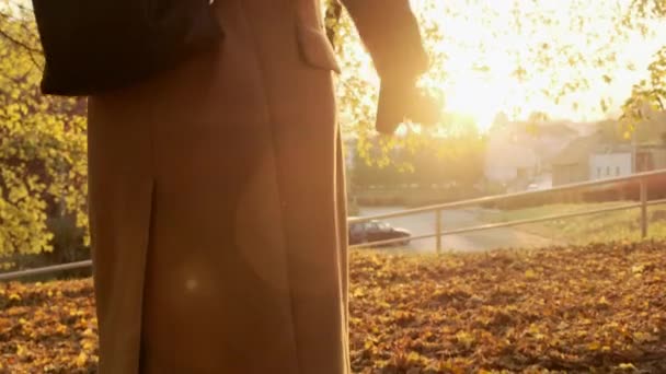 一位穿着棕色外套、肩上背着背包的女摄影师举起相机，在日落时拍了一张秋天森林的照片 — 图库视频影像