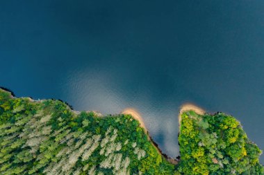 Nehir kıyısındaki yeşil ormanın üst manzarası koyu mavi su ve yansıyan gökyüzü.. 
