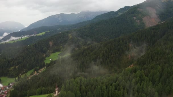 高山の常緑樹林に覆われたアルプスの山 — ストック動画