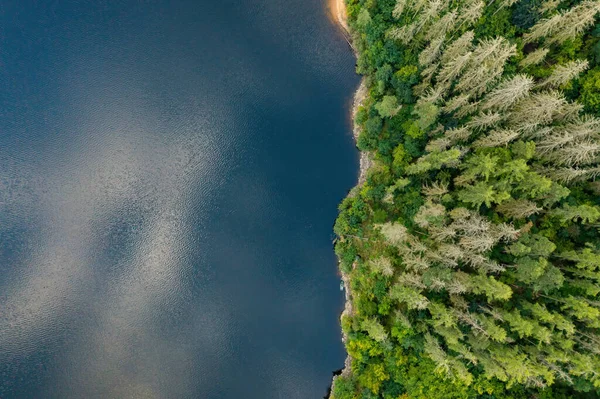 Vue de dessus de la forêt verte sur la rive de la rivière avec de l'eau bleu foncé et le ciel réfléchi. — Photo