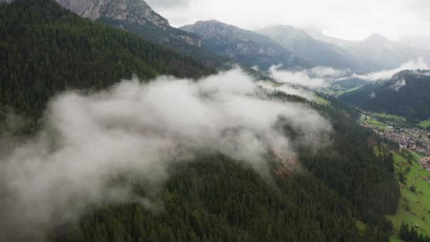 Antiche Alpi ricoperte di boschi di conifere — Video Stock