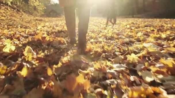 Güz parkında yürüyen ve sarı yaprakları tekmeleyen sıradan giyinmiş, elinde sırt çantası olan genç bir kadın. — Stok video