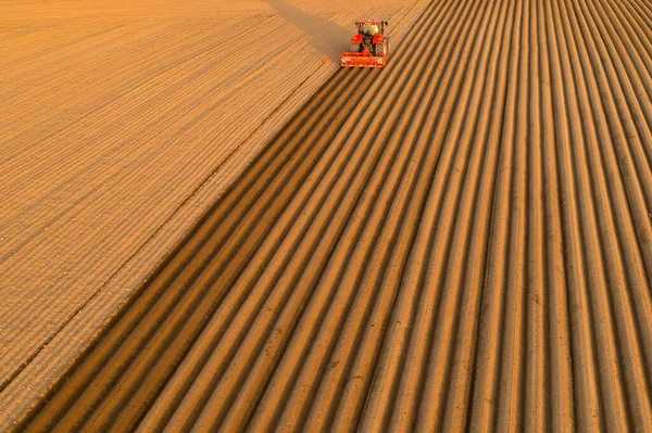 Widok z lotu ptaka na traktor produkujący bruzdy na glebie na polu rolniczym o zachodzie słońca. — Zdjęcie stockowe