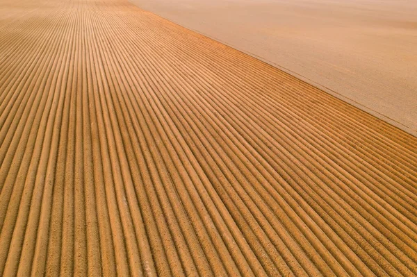 Vista aérea do campo agrícola com sulcos no solo ao pôr-do-sol. — Fotografia de Stock