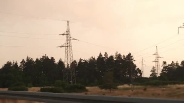 자동차는 고속 도로에서 자라는 높은 나무 근처에 있는 전력선을 지나간다 — 비디오