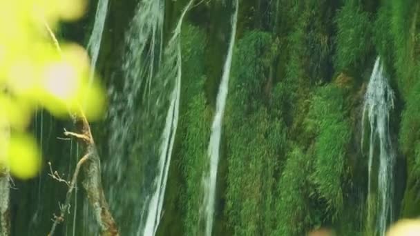 Vattenfall och flora i Plitvicesjöarnas nationalpark — Stockvideo