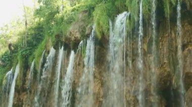 Kayalıklardan akan su akıntıları yosun ile kaplanır.