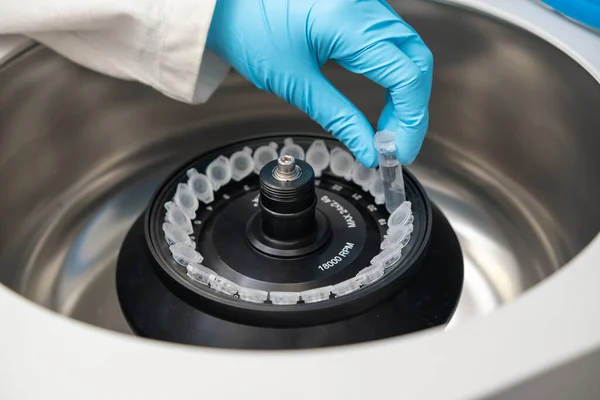 Lo scienziato mette i tubi della microcentrifuga nella centrifuga per la separazione di fase — Foto Stock