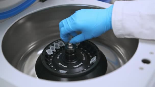 Wetenschapper plaatst microcentrifugebuizen in centrifuge voor fasescheiding — Stockvideo