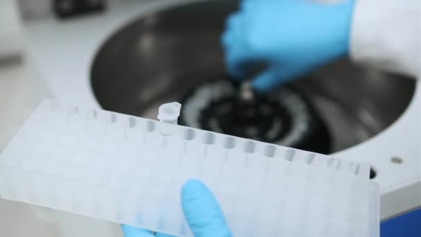 Kvinnlig forskare i skyddande plockar upp prover från centrifugen och sätter i rack — Stockvideo