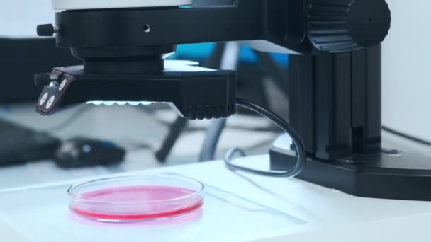 Microscopio de laboratorio científico automatizado de primer plano para el examen de la muestra en la placa de Petri — Vídeos de Stock
