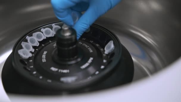 Científico pone tubos de microcentrifugadora en centrifugadora para separación de fase — Vídeo de stock