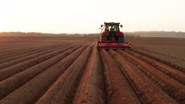 Heavy tractor uses plow to make beds for planting potatoes. Beginning of the sowing season. — Vídeos de Stock