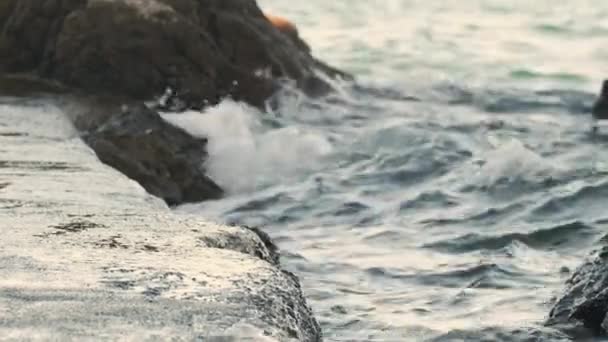 Köpüklü deniz dalgaları parlak batan güneşte kumsal kayalarını kırar. — Stok video