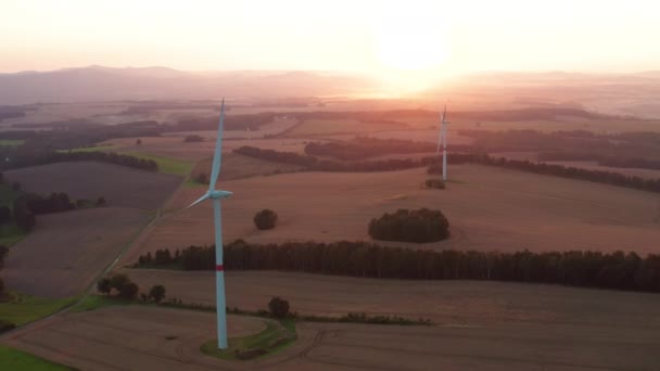 Potentes máquinas eólicas construidas en la estación eléctrica al atardecer — Vídeos de Stock