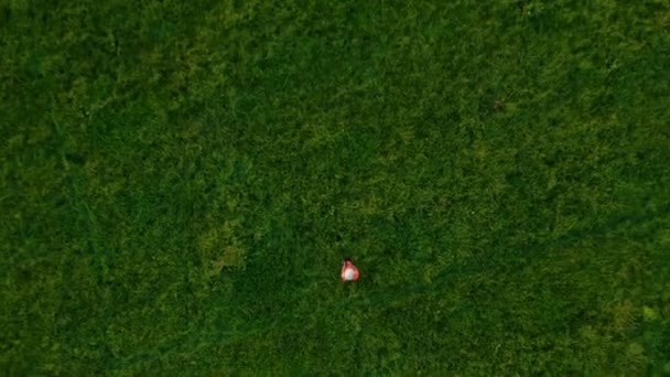 Інженер стоїть в траві біля сучасних вітряних млинів на сході сонця — стокове відео
