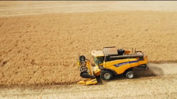 Turuncu hasatçı geniş tarladan kolza tohumu topluyor. — Stok video