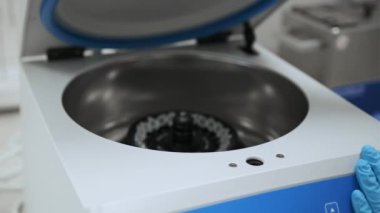 Lastik eldivenli kadın laboratuvar teknisyeni santrifüjü doldurup kapatıyor.