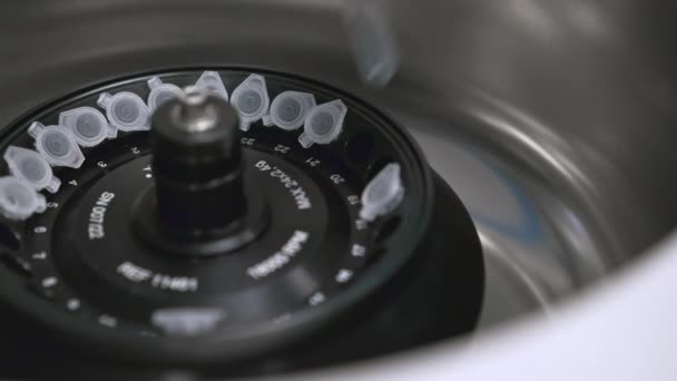Operaio di laboratorio mette tubi chimici nella centrifuga. — Video Stock