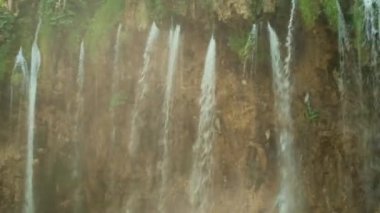 Yeşil yosun, şelaleli uçurumları kaplıyor