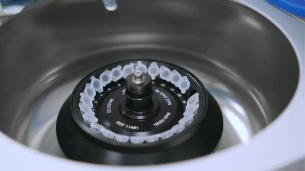 Tecnico di laboratorio femminile in guanti di gomma ricarica una centrifuga e chiude il tappo. — Video Stock