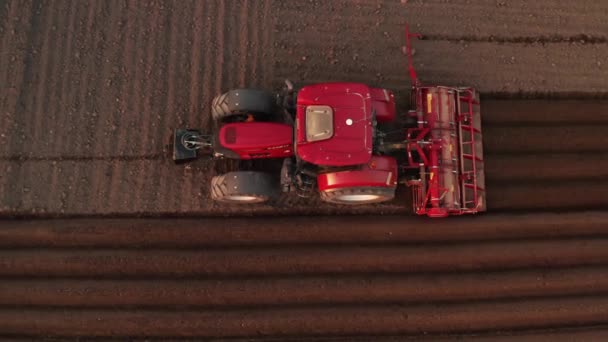 Draufsicht auf einen roten Traktor, der Mais auf einem landwirtschaftlichen Feld aussät. Beginn der Pflanzsaison, — Stockvideo