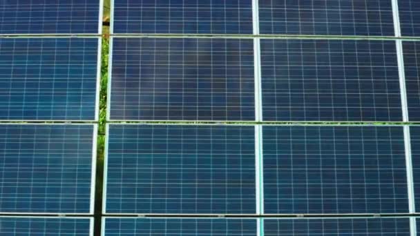 Células Solares Instaladas Linhas Geram Energia Alternativa Estação Elétrica Campo — Vídeo de Stock