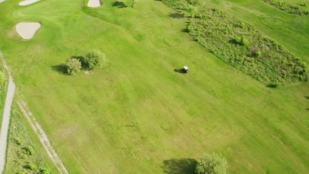 Cart Drives Auf Großen Golfplatz Mit Grünem Rasen Und Üppigem — Stockvideo