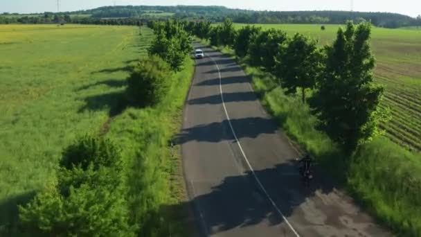 Motociclista Passeios Bicicleta Estrada Asfalto Passado Cinto Verde Árvore Protetora — Vídeo de Stock