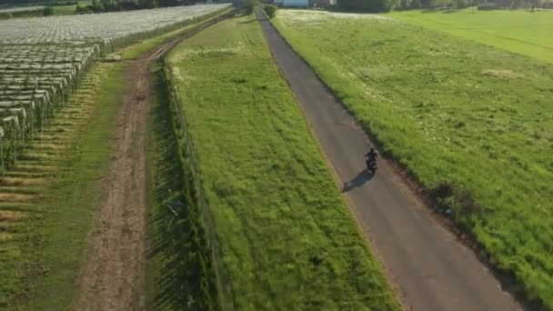 Motorcyclist Rides Motorbike Huge Vineyard Green Field Setting Sun Light — Stock Video