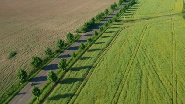 Motorcyclist Rides Plowed Planted Fields Back Sunset Green Wind Break — Video Stock