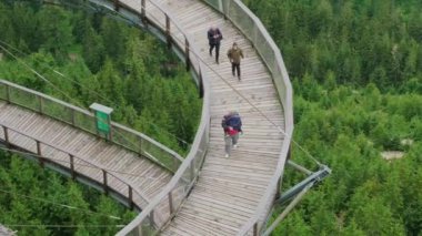 DOLNI MORAVA, CZECH REPUBLIC - 14 Mayıs 2022: Gökyüzü Yürüyüşü tahta köprüsü üzerinde yeşil orman üzerinde sırt çantalı turist. 14 Mayıs 'ta Dolni Morava' da dağ manzarası arasında ünlü turistik ilgi