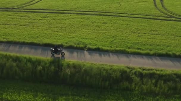 Motorcyclist Rides Countryside Road Green Fields Trees Sunset Small Green — Vídeo de Stock