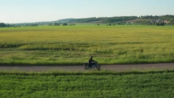 Motorcyclist Rides Asphalt Road Green Field Sunset Light Fine Weather — Vídeo de Stock