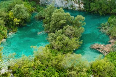 Small green islands among turquoise-colored transparent water of lake surrounded by mountains. Breathtaking landscape of natural reserve on Plitvice lakes upper view