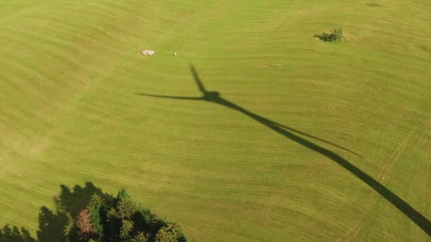 Shadow Windmill Yellow Field Renewable Energy Production Concept — 图库视频影像