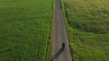 Motorcyclist rides between green fields in evening. Bicyclist approaches rider on small asphalt pathway at sunset light aerial view