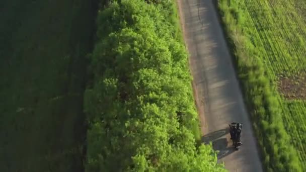 Motorbiker Rides Empty Asphalt Roadway Green Trees Planted Fields Sunset — Stock video