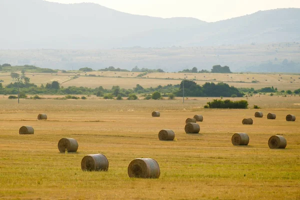 Σιτάρι Άχυρο Μπάλες Διάσπαρτα Απέραντο Πεδίο Συγκομιδής Κατά Ομιχλώδη Λόφους — Φωτογραφία Αρχείου