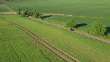 Motorcyclist rides slowly on narrow ground pathway between planted fields at sunset. Tree shadows lie on green fields aerial view