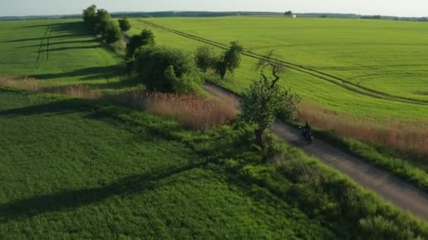 Motorbiker Rides Asphalt Roadway Green Fields Trees Figure Motorcyclist Trees — Vídeos de Stock