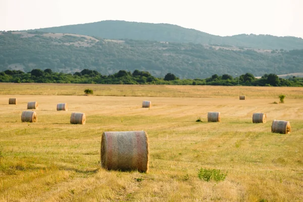 Rural Landscape Bales Wheat Straw Blurry Green Mountains Sunlight Countryside — Fotografia de Stock