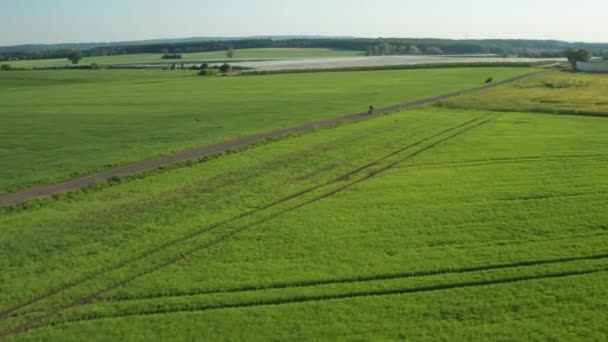 Agricultural Landscape Long Road Riding Motorcyclist Roadway Stretches Planted Fields — Video