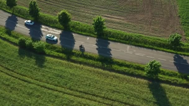 White Car Overtakes Motorcyclist Asphalt Road Motorcyclist Ride Plantation Protective — Stockvideo