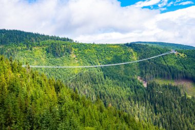 Sky Bridge 721 is the longest suspension bridge between two hills in the forest, Dolni Morava, Czech Republic . One way footbridge in touristic place in the forest in summer. 