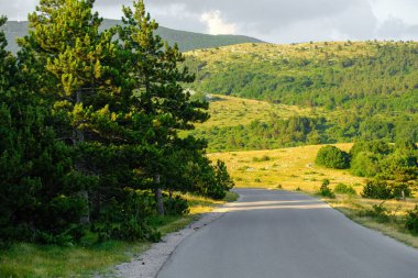 Empty country road in mountains on a sunny summer day. 