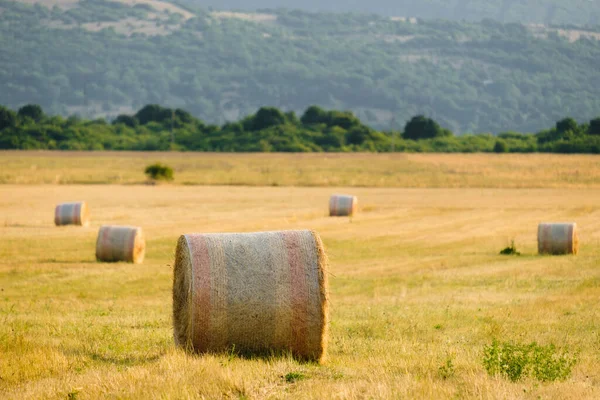 Rural Landscape Bales Wheat Straw Blurry Green Mountains Sunlight Countryside — Stock Photo, Image